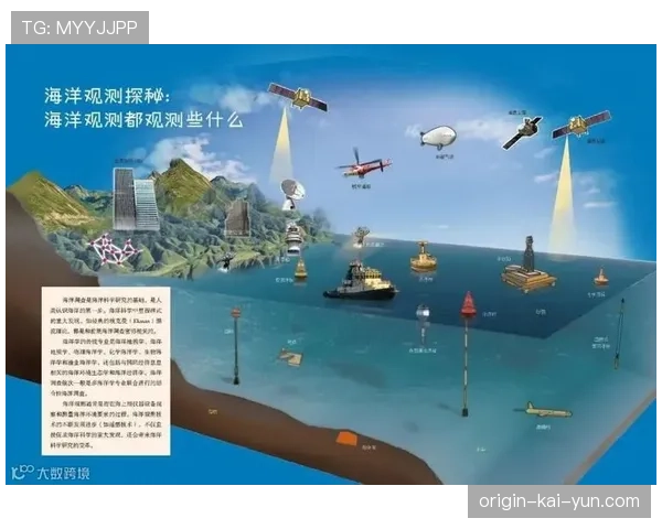 全球天梯生态观察：为何高分段玩家的阵容搭配如此激进？